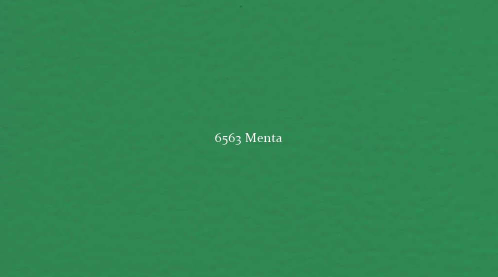 Recreaction 6563 Menta
