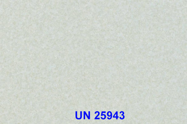 UN 25943