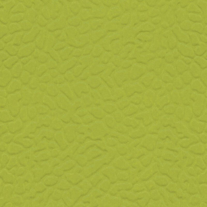 LG LEISURE